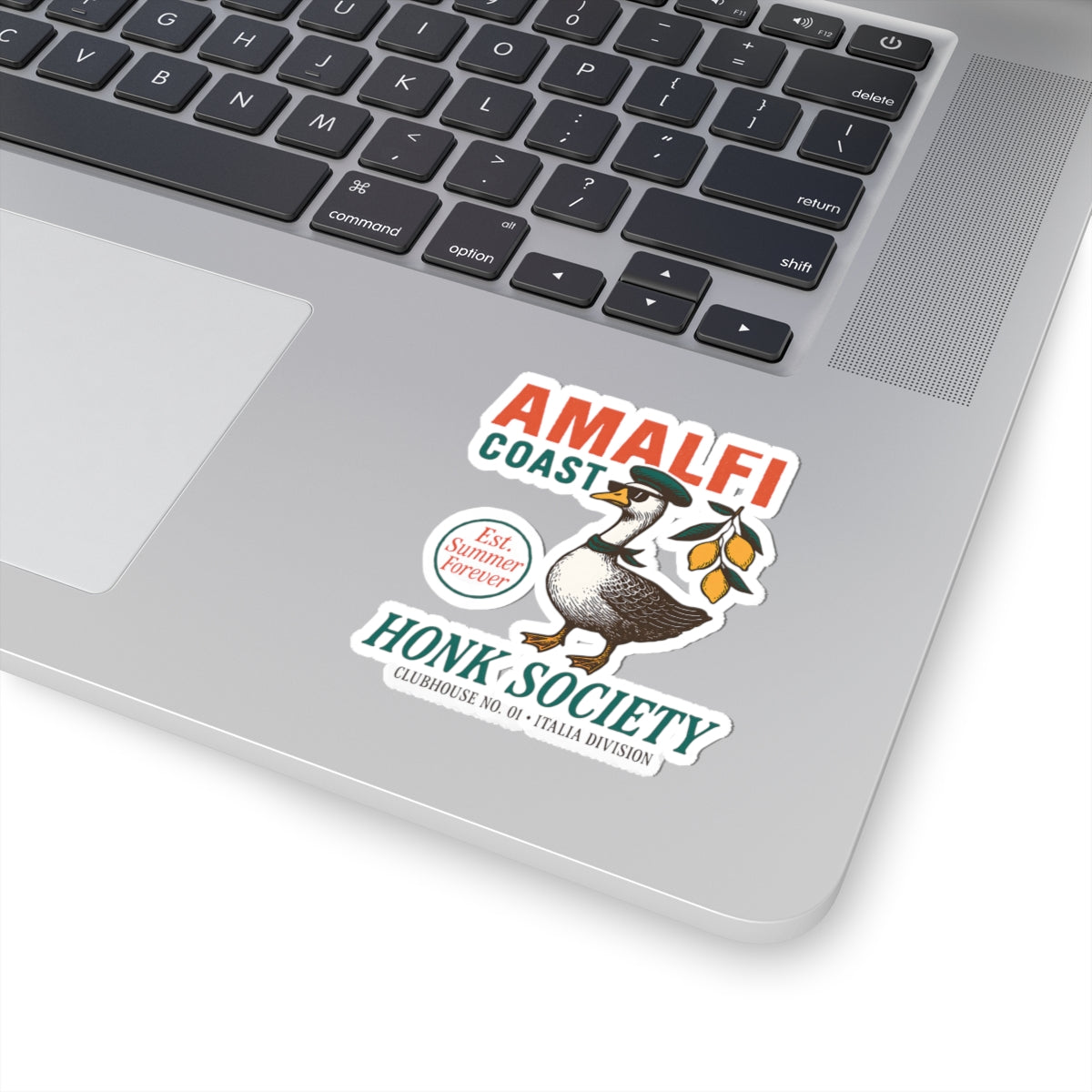 Amalfi Coast Goose Sticker Italian Summer Travel Lover Gift For Silly Goose Lover Coastal Vacation – product image 5