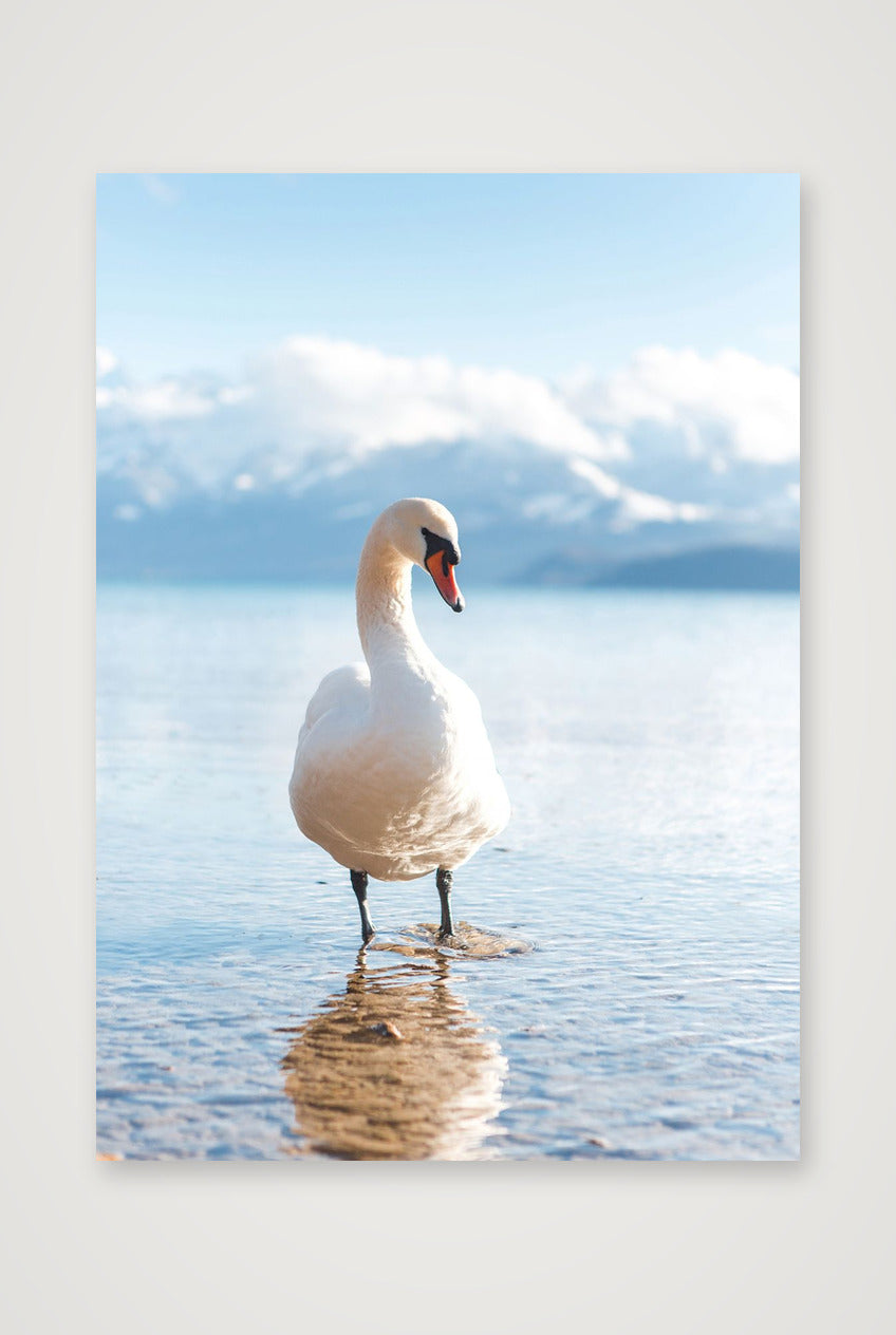 487 — 42×59cm, 17×23" Print only