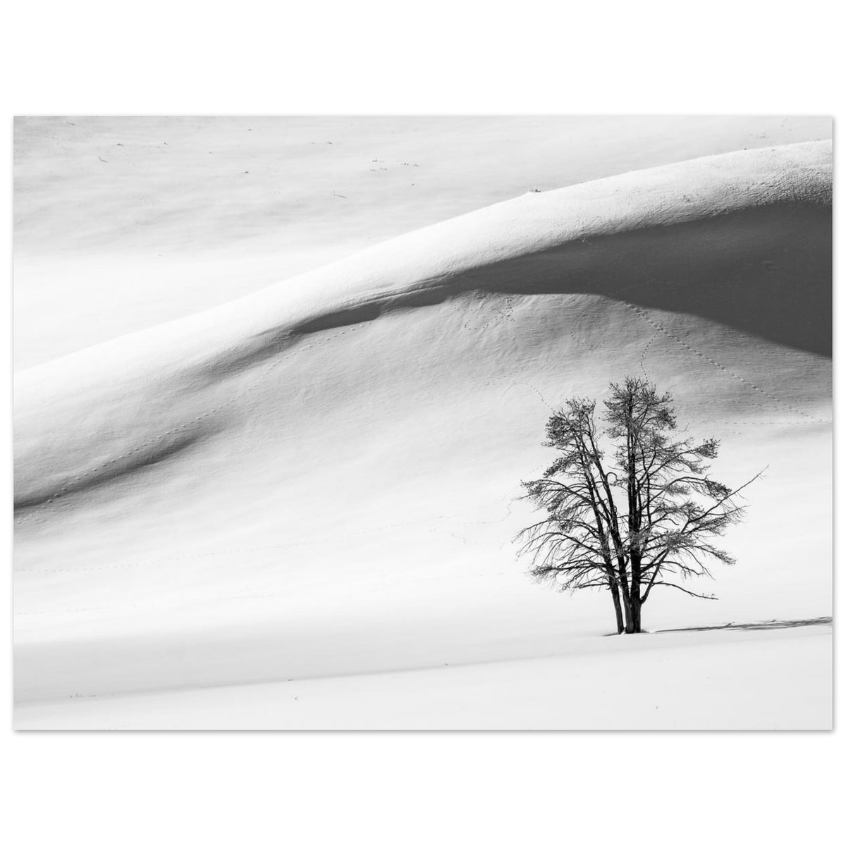 Minimalist Winter Solitude Wall Art foam board wall art print for modern home decor by Kzara Visual