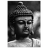 b0cc4ff8-f289-472d-a175-26d337859745