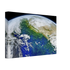 b20496c7-f09d-49de-8cf1-68138a8dbdef