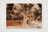444 — A4 (30×21cm, 12×8") Print only