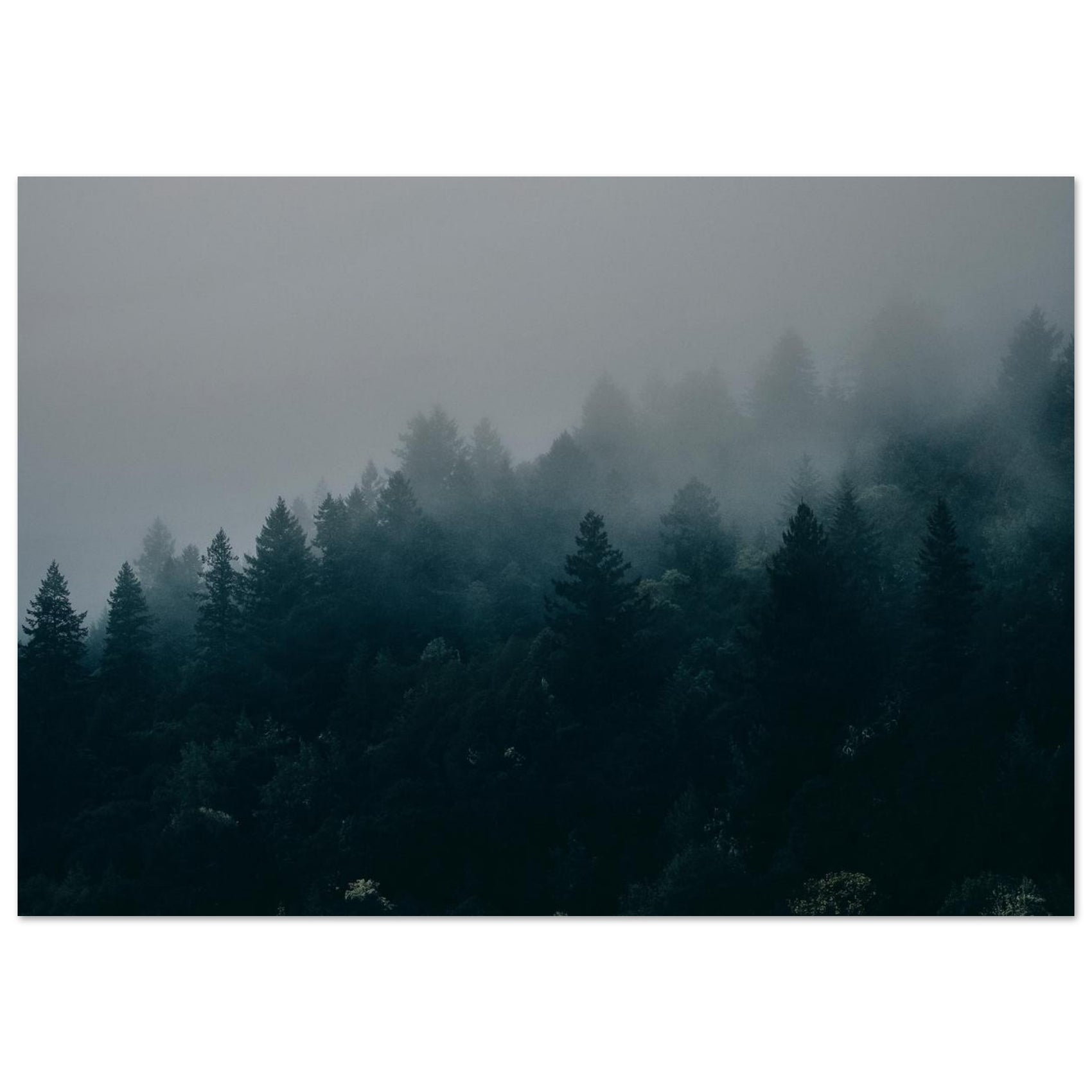 Misty Forest Peaks - Dark Academia Wall Art, Foggy Pine Tree Landscape on Premium Foam Board Print in your choice of five sizes