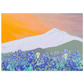 b3049ecb-ad00-4d5f-8e55-3be6df7d17b3