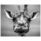 b4e14933-366f-4ade-8870-e78592ee6ee3