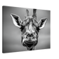 b58684ee-cc49-408b-854a-fdacae9c0243
