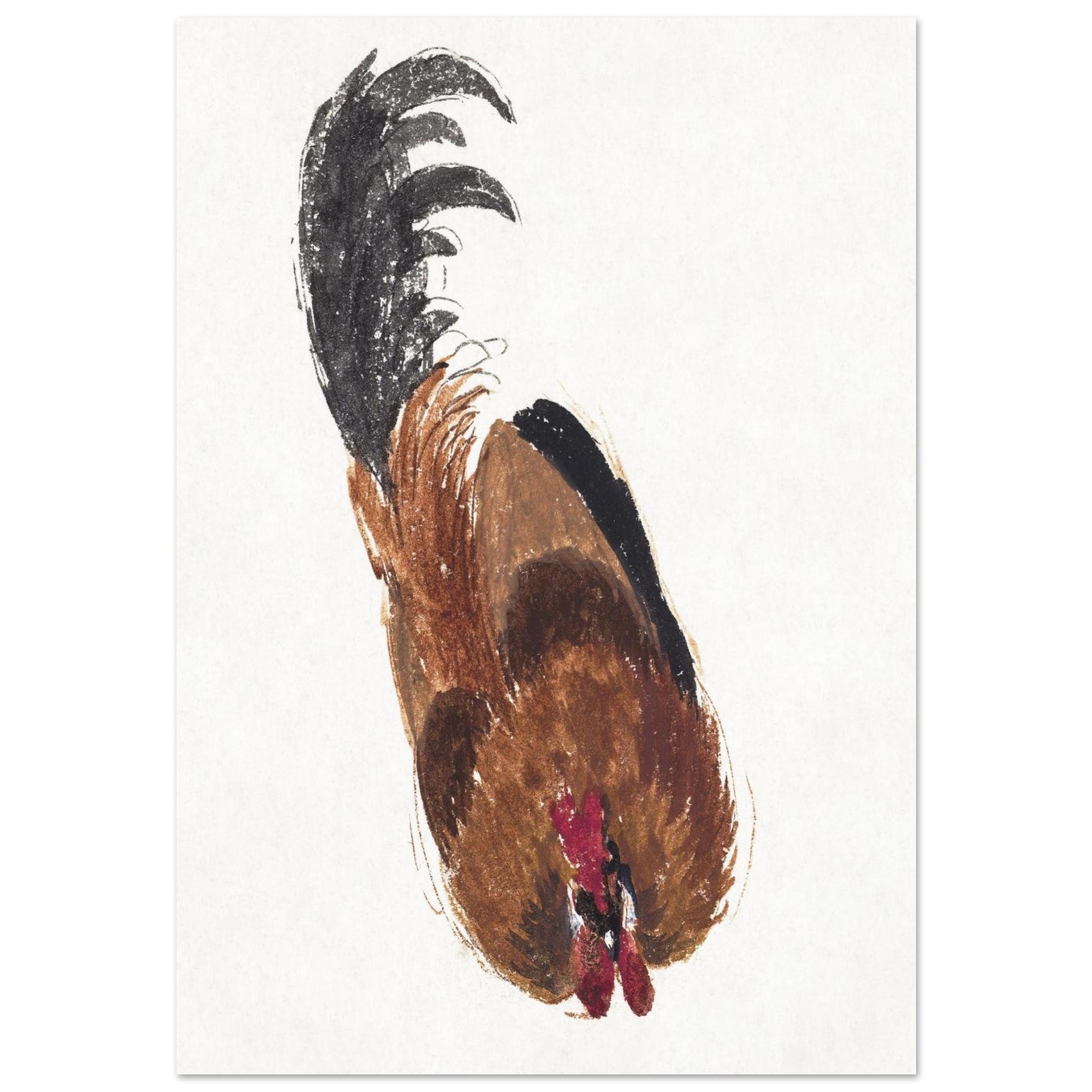 FOAM - PD_ Rustic Rooster Sketch Foam Board Print - Dynamic Farmhouse Wall Art in Multiple Sizes
