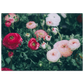 b5ddac98-00a2-4f09-adf3-294e61698d06