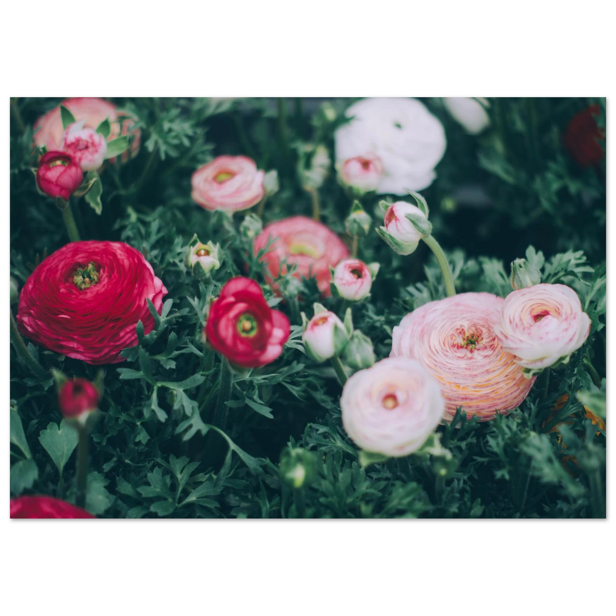 b5ddac98-00a2-4f09-adf3-294e61698d06
