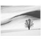 b72f0af1-21b4-44df-a6e3-305f5150609f