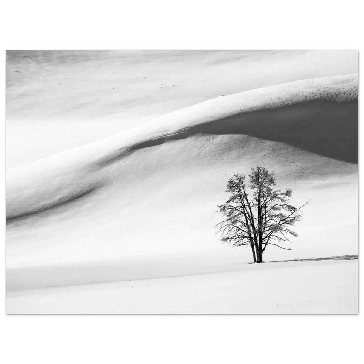 b72f0af1-21b4-44df-a6e3-305f5150609f