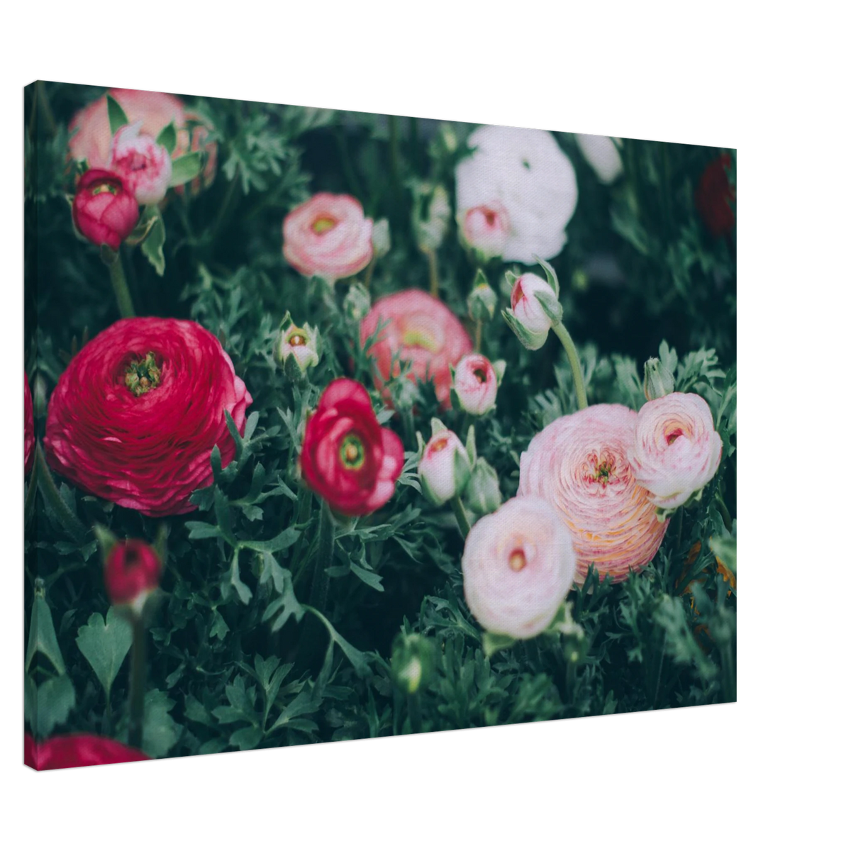 b73c0590-f58d-4de8-b87d-30bb3870ce14