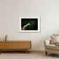 433 — 59×42cm, 23×17" White Frame
