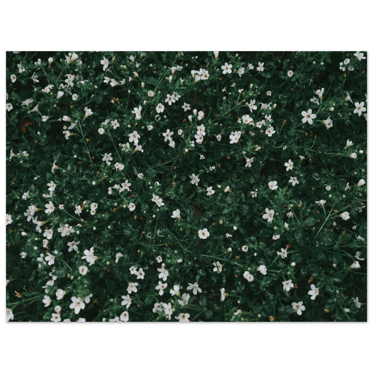 b9407ce2-4e01-4f94-bf55-9f2ea9ee1755