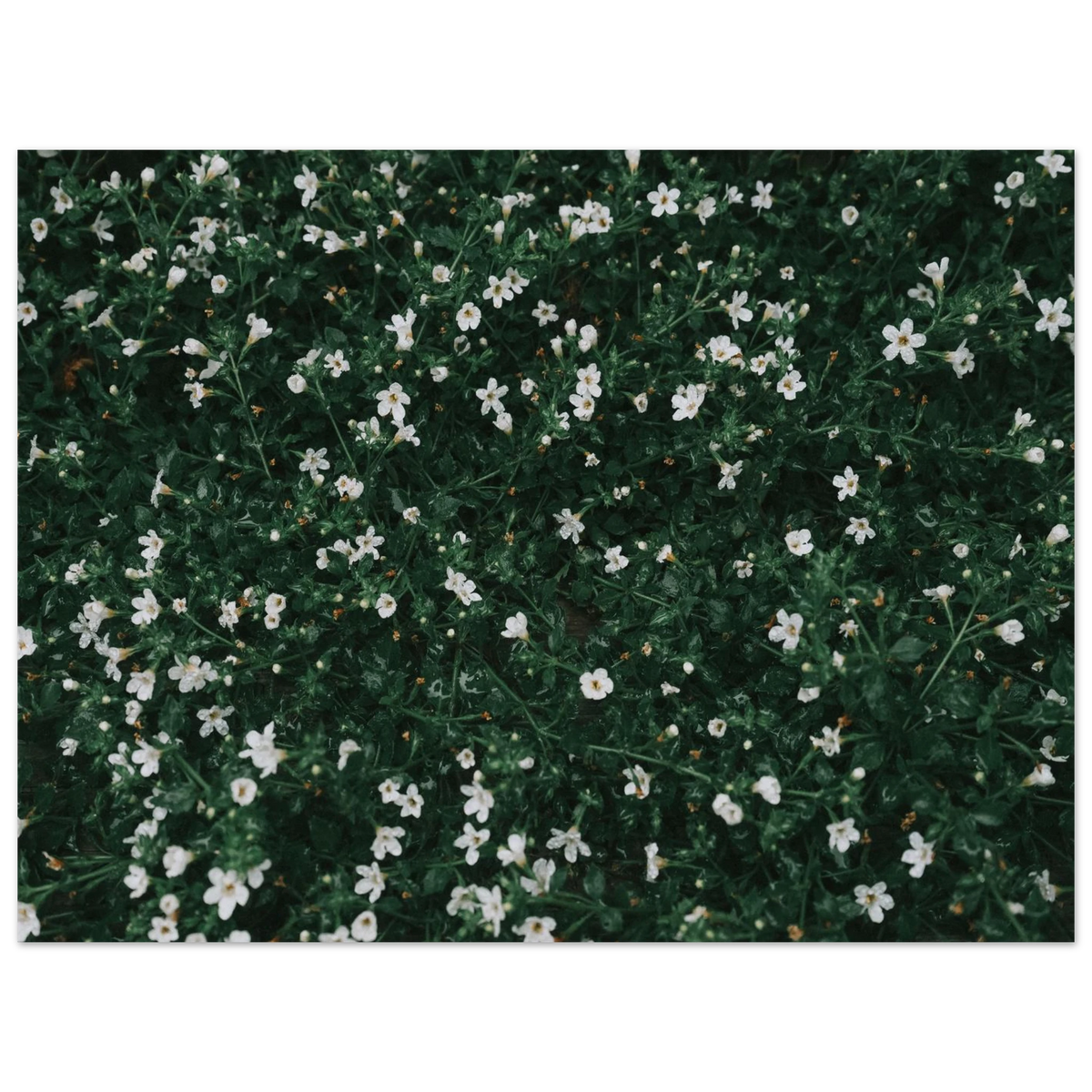 b9407ce2-4e01-4f94-bf55-9f2ea9ee1755