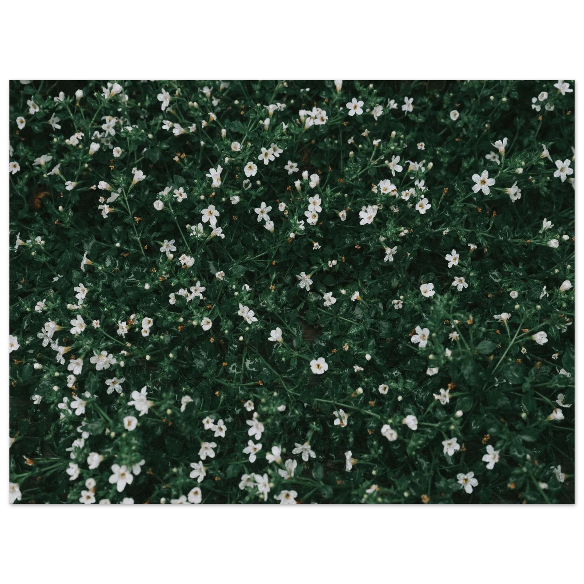 b9407ce2-4e01-4f94-bf55-9f2ea9ee1755