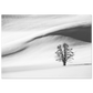 b9b06cd4-2d60-46eb-b7c5-944f4b91a499