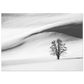 Unframed poster showing a lone bare tree among black and white snowy hills