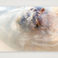461 — 84×59cm, 33×23" Print only