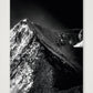 438 — 42×59cm, 17×23" Print only