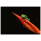 bc98c4d2-7683-42ba-8607-ef906fff2f83