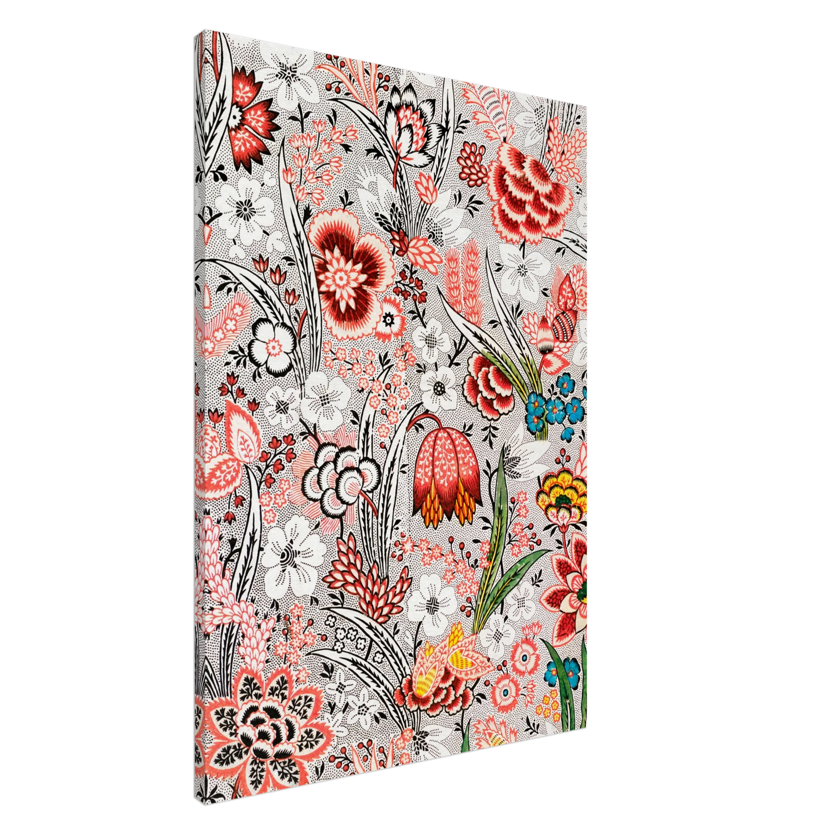 CANVAS - PD_851