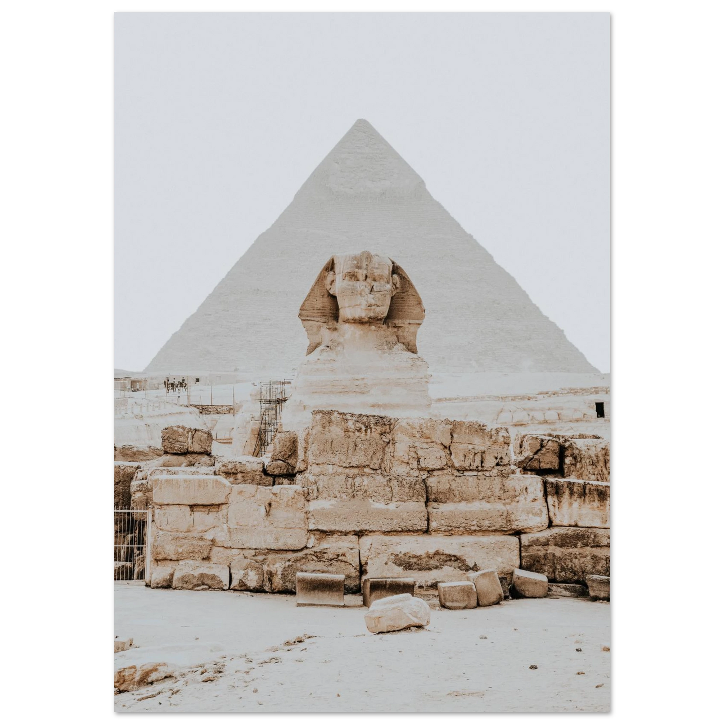 bd16ab36-70e5-4ce0-9f8c-9bc03e651680