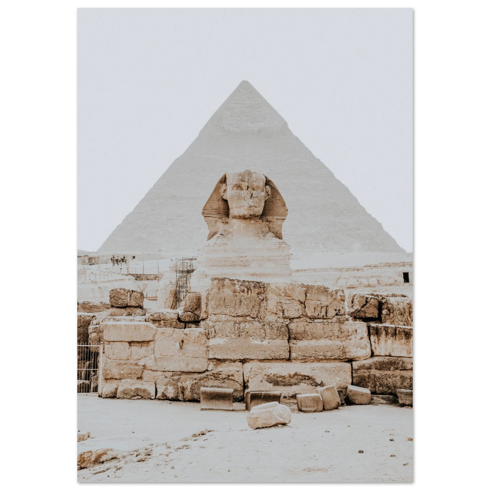POSTER - PD_791