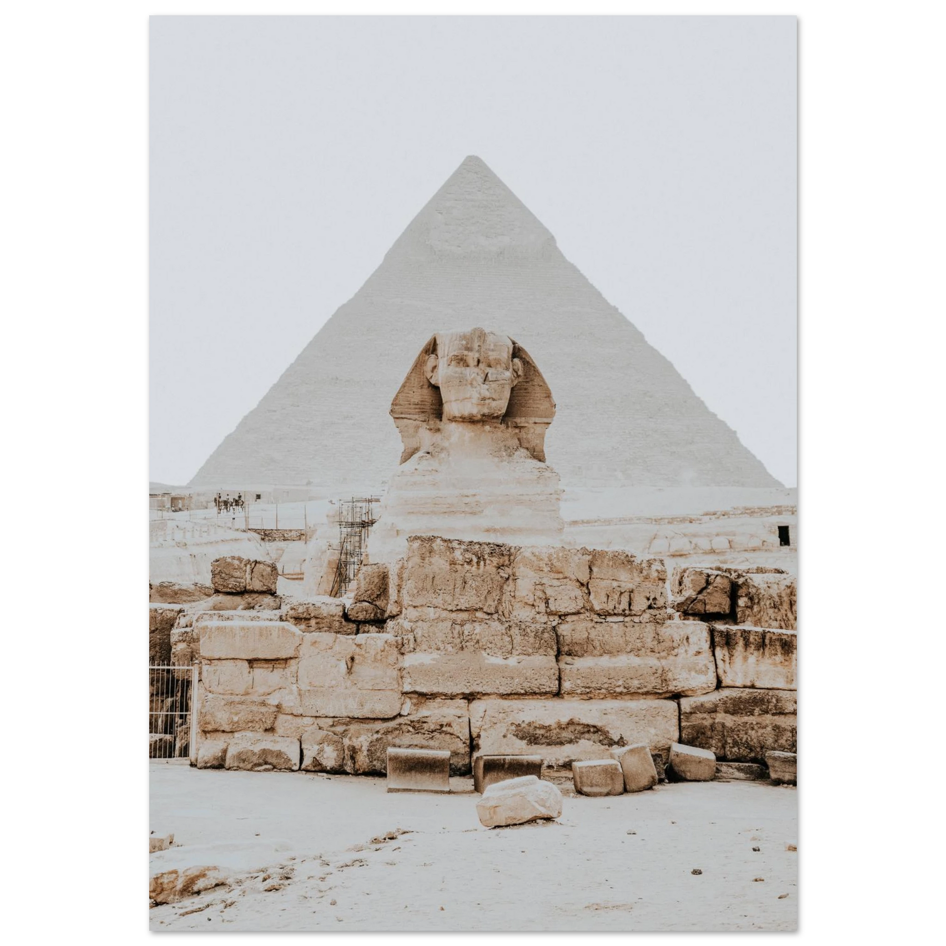 bd16ab36-70e5-4ce0-9f8c-9bc03e651680