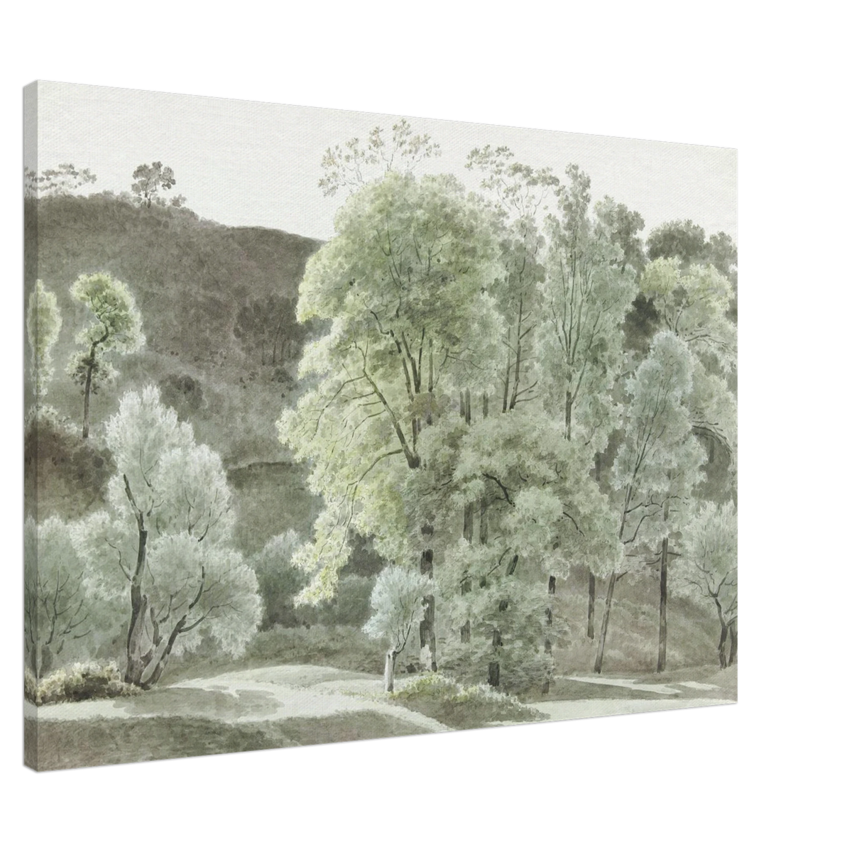 Serene Woodland Escape - Premium Canvas Print PD_334