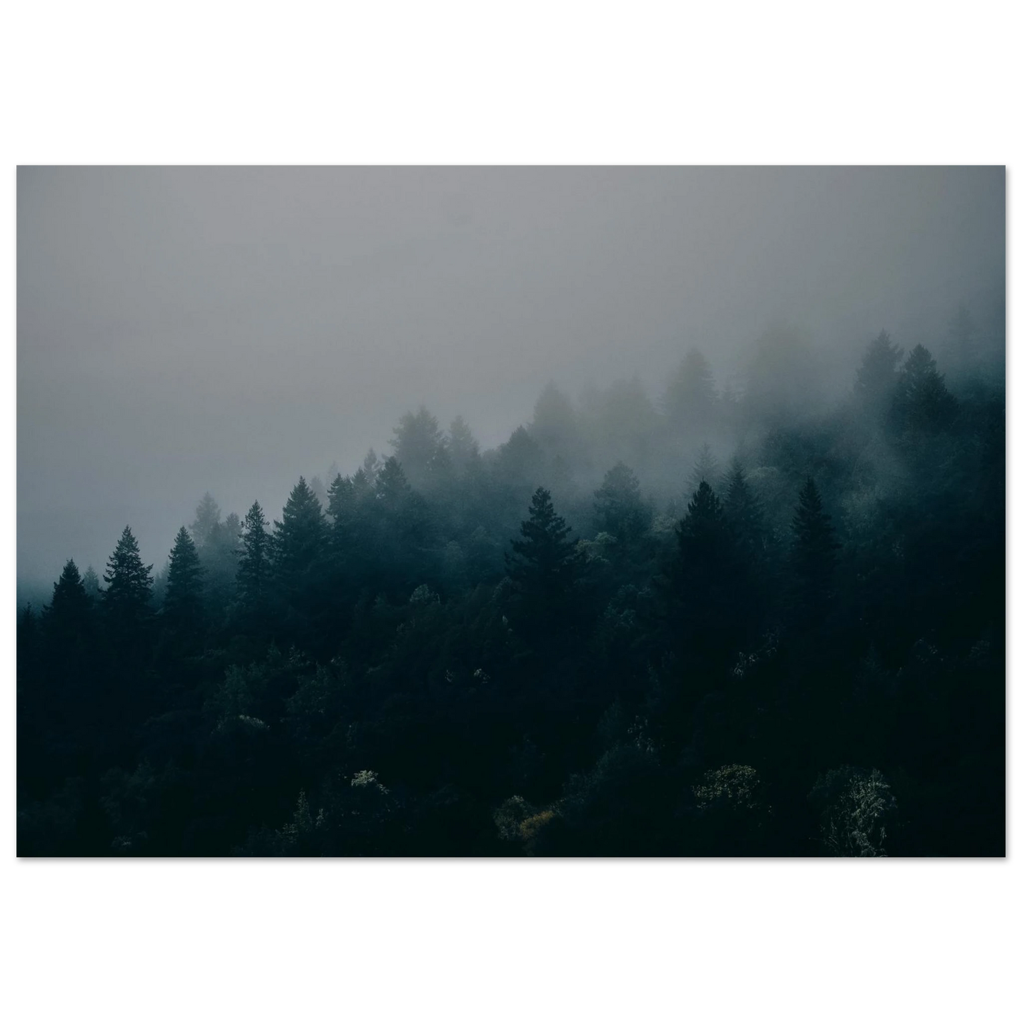 bdb9a00c-8ab8-4ae0-baa7-8c7ee8d47dbd
