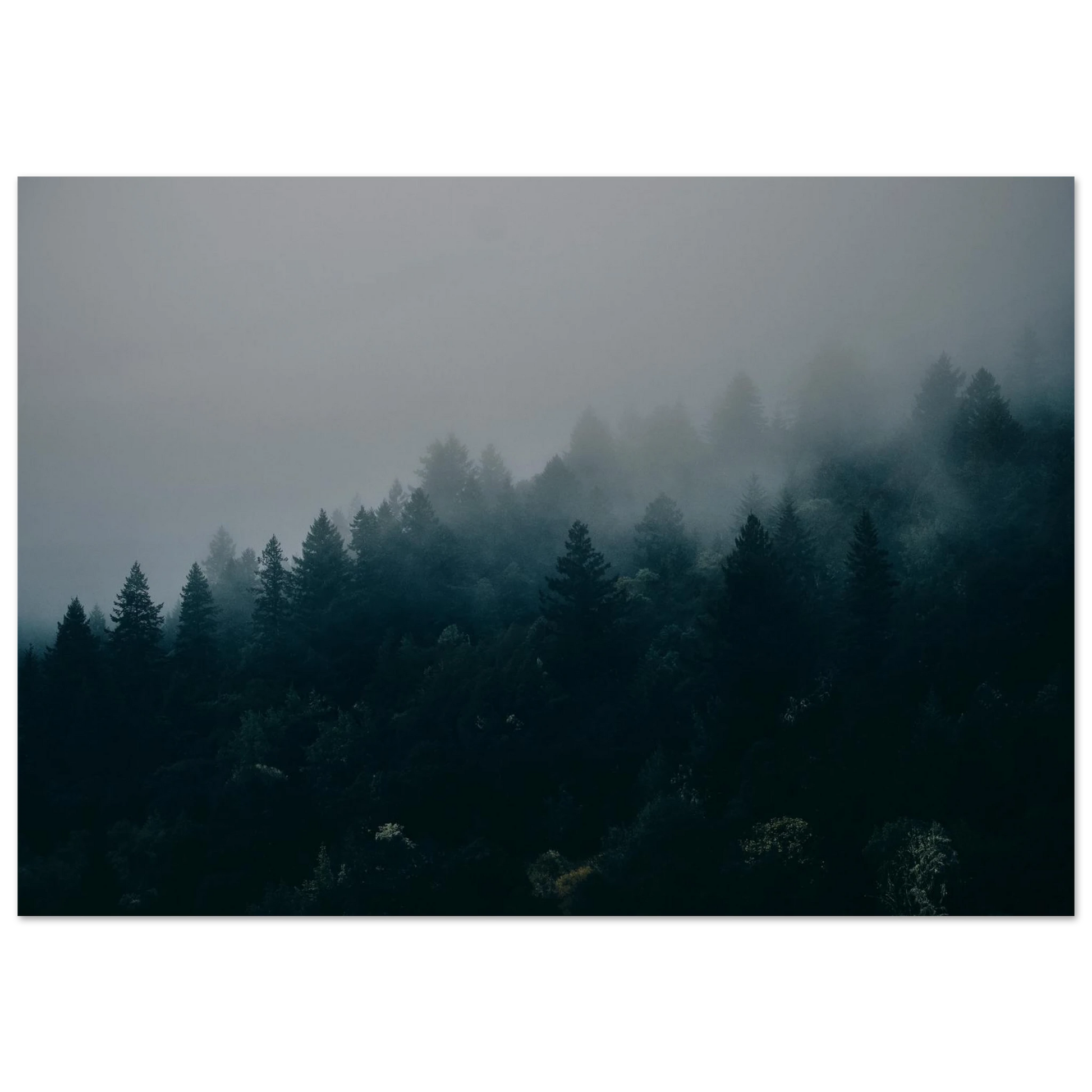 bdb9a00c-8ab8-4ae0-baa7-8c7ee8d47dbd