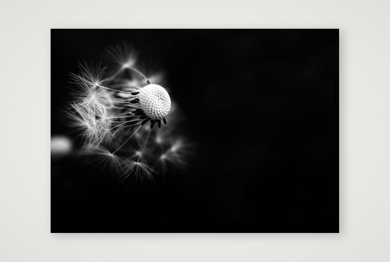 51 — A4 (30×21cm, 12×8") Print only