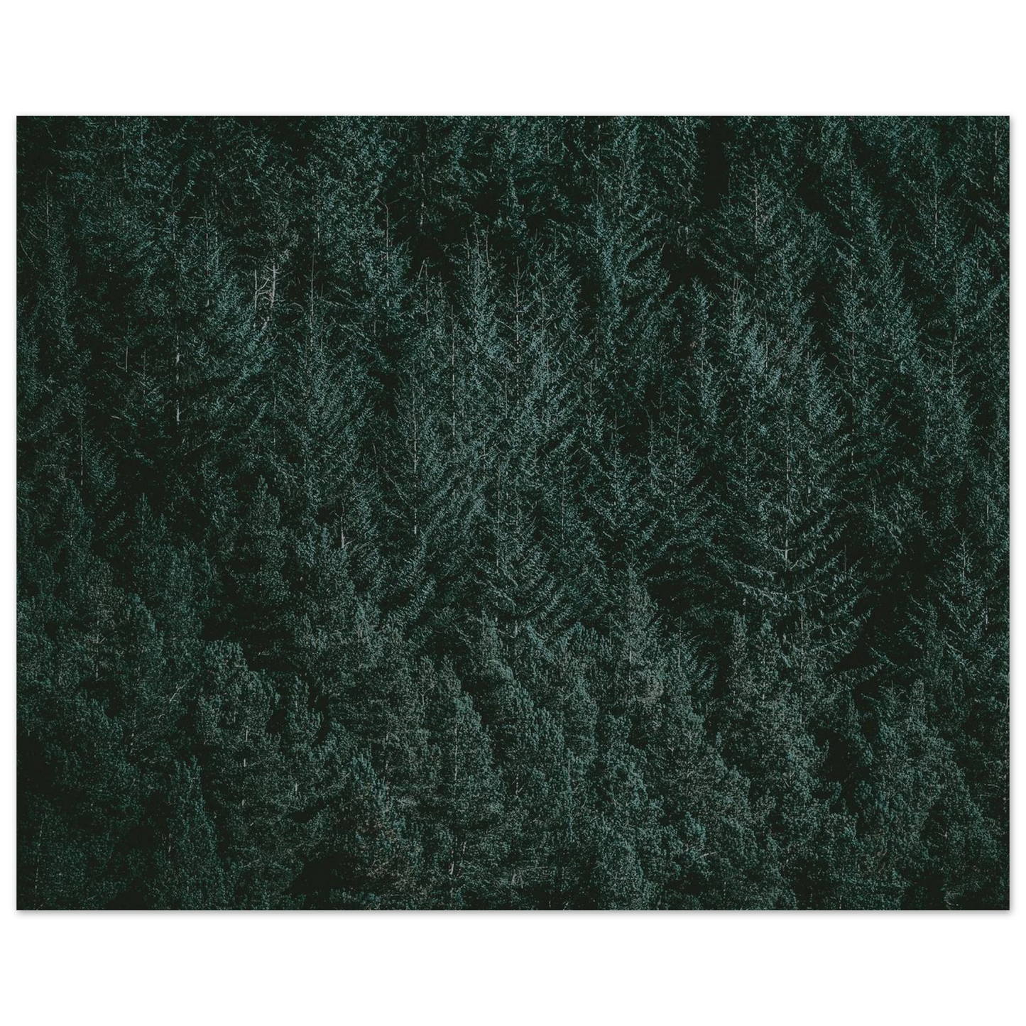 c020bed7-504c-41dc-b0de-52f858866f5f