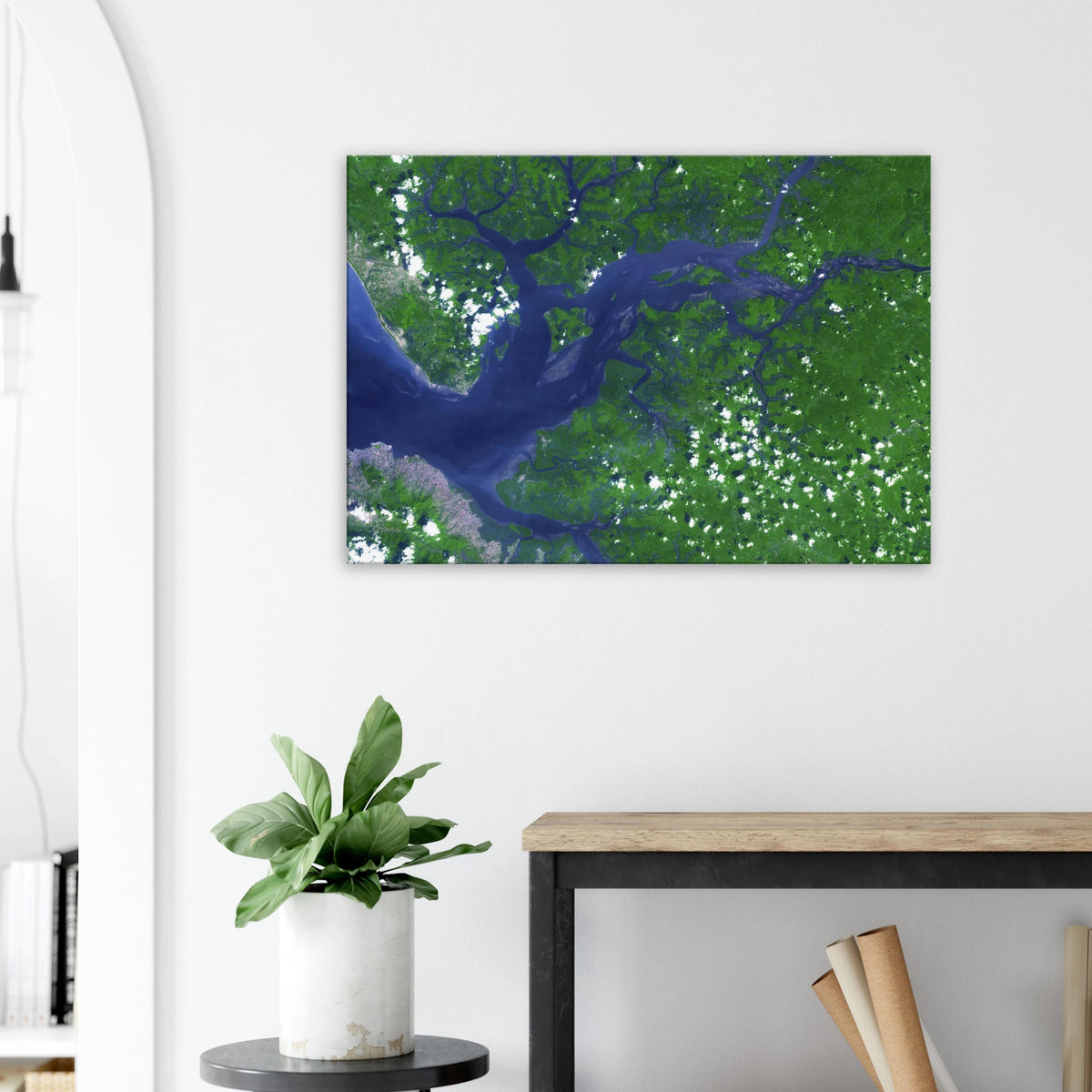 Sierra Leone Estuary Wall Art Canvas Print NASA Aerial Earth Landscape Africa Decor #PD_119 product image