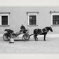 1913 — A4 (30×21cm, 12×8") Print only