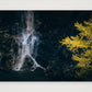 1309 — 84×59cm, 33×23" Print only