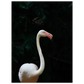 c15999b9-3a75-42c2-a57a-a4309b5befa1
