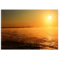 c1ef89c6-13af-4fe8-bd0b-dc0400273270