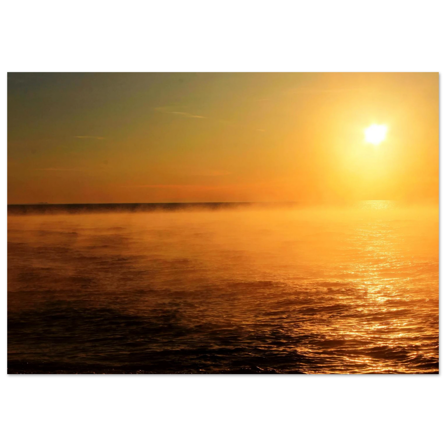c1ef89c6-13af-4fe8-bd0b-dc0400273270