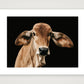 1371 — 84×59cm, 33×23" Print only