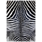 c29b01d3-10df-4047-ab53-d45239878fc1
