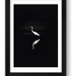 492 — framed