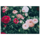 c4c6ed9e-8d5e-44d6-9ac2-03468fc1b0bd