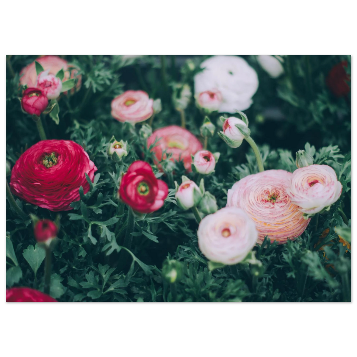 c4c6ed9e-8d5e-44d6-9ac2-03468fc1b0bd