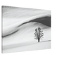 c53ad0e2-1574-41c6-ba3c-fe776edee520