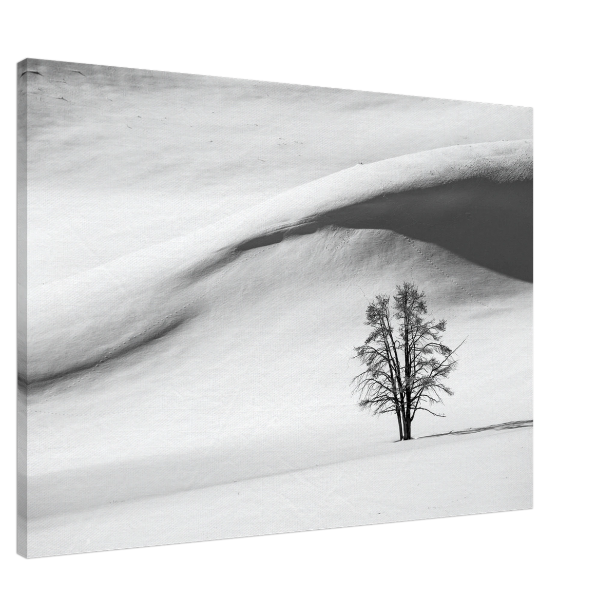 Minimalist Winter Tree Solitude - Black & White Landscape Canvas Print PD_291