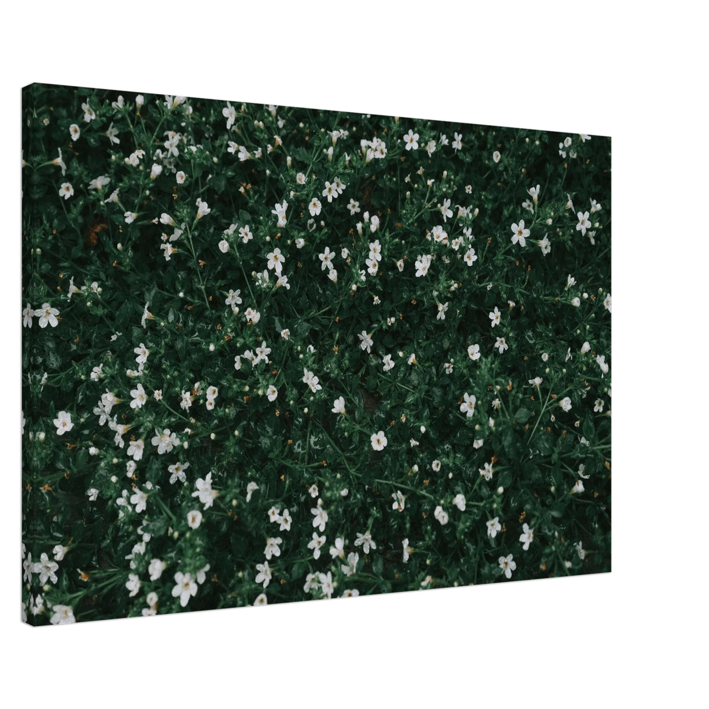c55094bc-64e4-44e1-b80d-82d04263cd8b