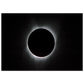 c5d81c4c-7784-4758-9a12-8d025261a4dd