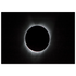 c5d81c4c-7784-4758-9a12-8d025261a4dd